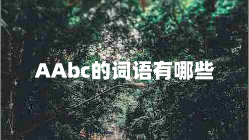AAbc的詞語有哪些