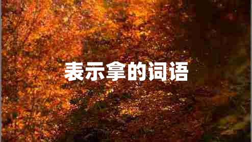 表示拿的詞語 表示拿的詞語