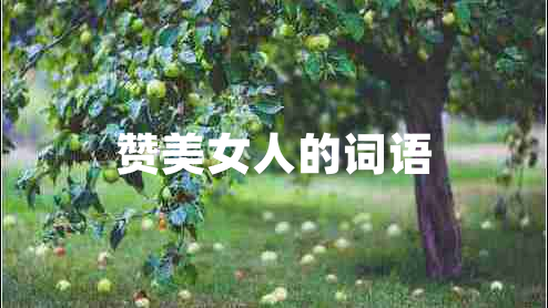 贊美女人的詞語