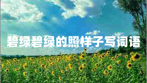 碧綠碧綠的照樣子寫詞語