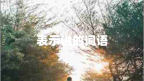 表示說(shuō)的詞語(yǔ) 表示說(shuō)的詞語(yǔ)