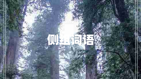 側(cè)組詞語(yǔ)