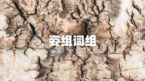 姿組詞組 姿組詞組