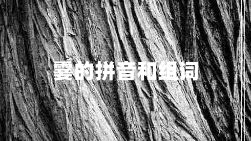 霎的拼音和組詞