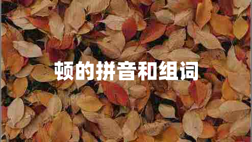 頓的拼音和組詞 頓的拼音和組詞