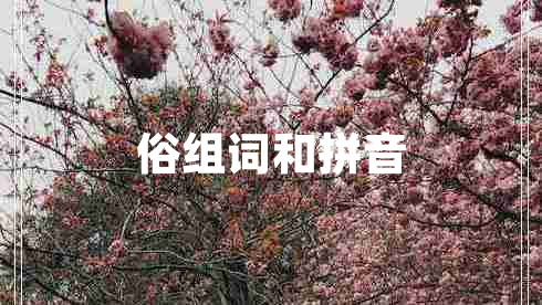俗組詞和拼音