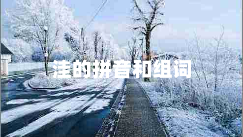 洼的拼音和組詞