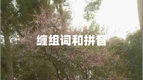 纏組詞和拼音 纏組詞和拼音