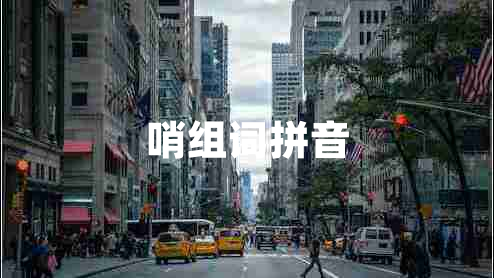 哨組詞拼音
