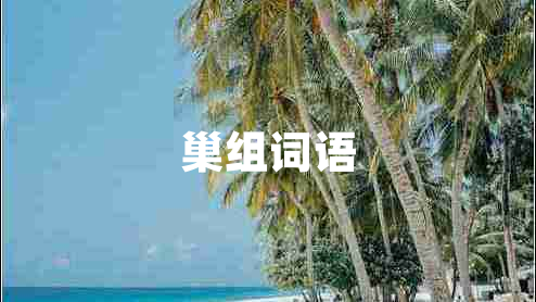 巢組詞語(yǔ) 巢組詞語(yǔ)