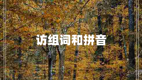 訪組詞和拼音