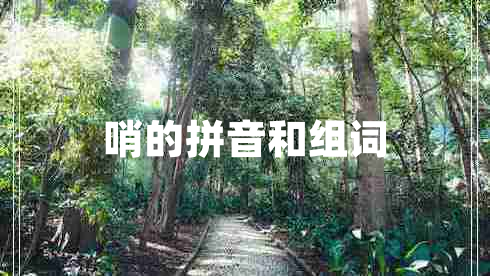 哨的拼音和組詞