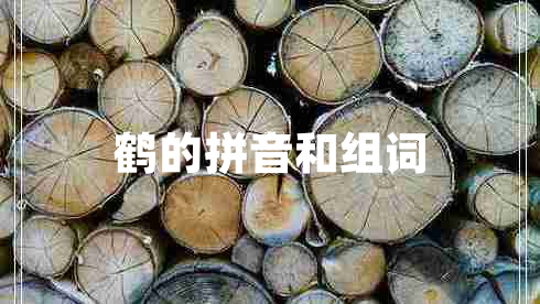 鶴的拼音和組詞 鶴的拼音和組詞