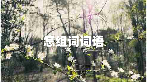怎組詞詞語(yǔ)