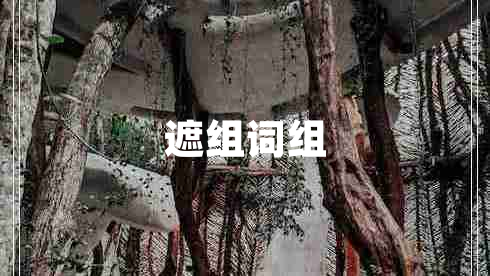 遮組詞組 遮組詞組