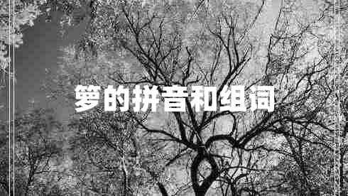 籮的拼音和組詞