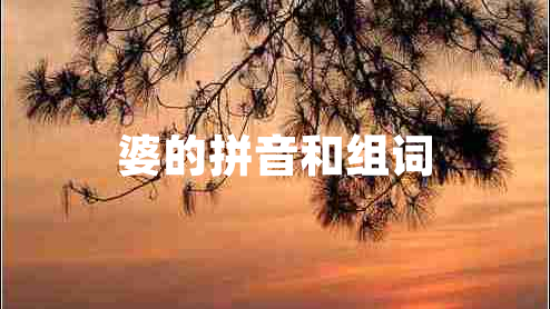 婆的拼音和組詞