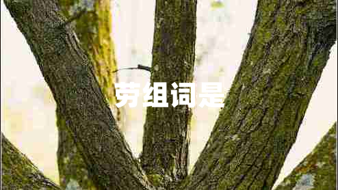 勞組詞是