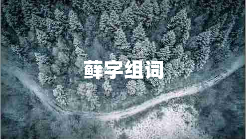 蘚字組詞 蘚字組詞