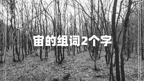 宙的組詞2個(gè)字