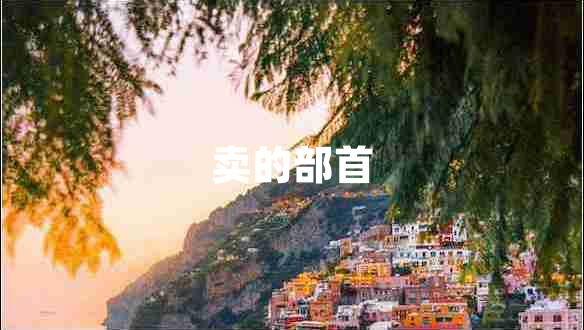 賣的部首 賣的部首