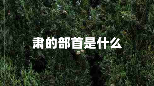 肅的部首是什么