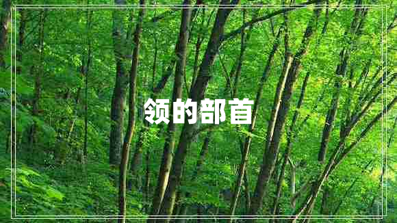 領(lǐng)的部首