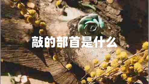 敲的部首是什么