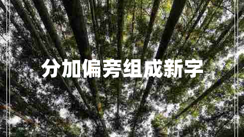 分加偏旁組成新字