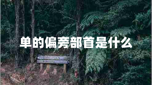 單的偏旁部首是什么