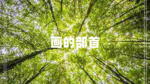 畫的部首