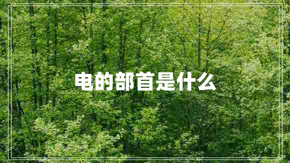電的部首是什么