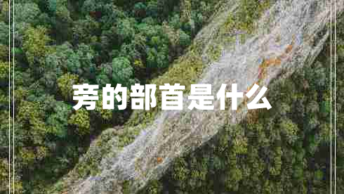 旁的部首是什么