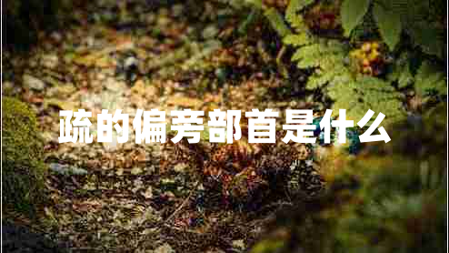 疏的偏旁部首是什么