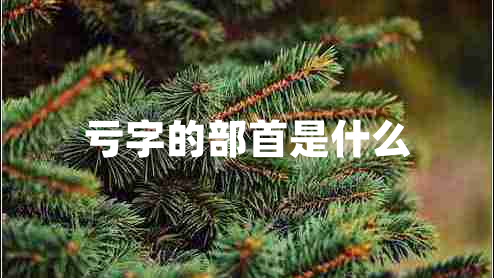 虧字的部首是什么