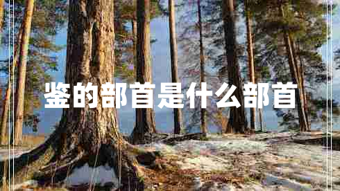 鑒的部首是什么部首