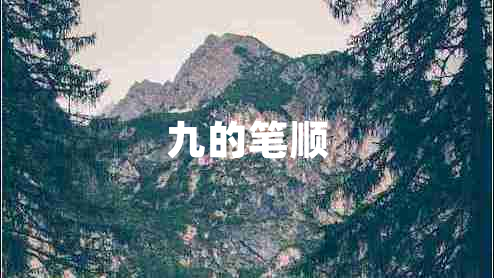九的筆順