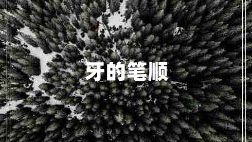 牙的筆順