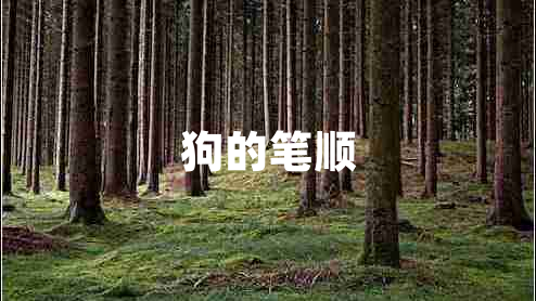狗的筆順