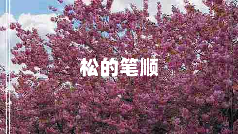 松的筆順