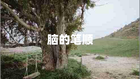 腦的筆順