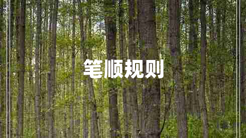 筆順規(guī)則 筆順規(guī)則