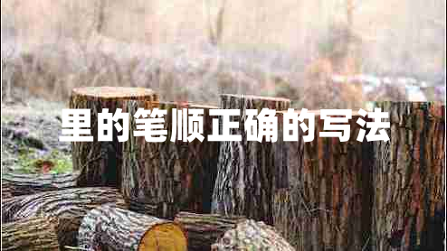 里的筆順正確的寫法