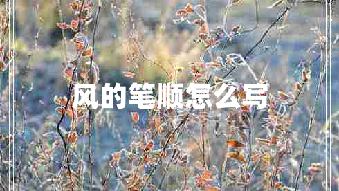 風(fēng)的筆順怎么寫