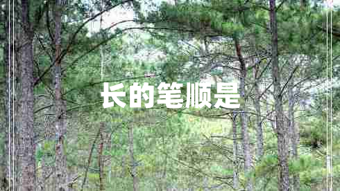 長(zhǎng)的筆順是