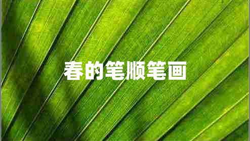春的筆順筆畫