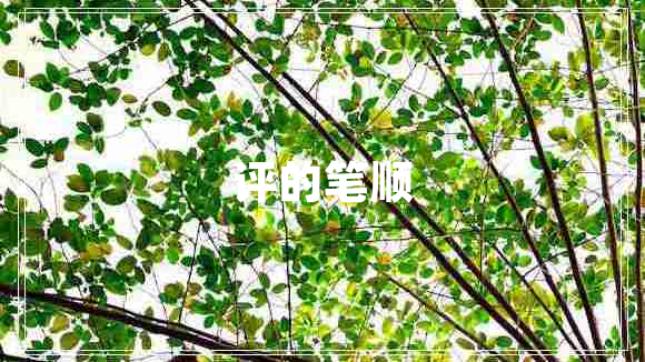 評的筆順