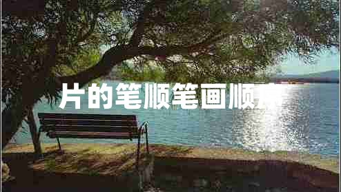 片的筆順筆畫順序