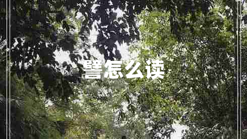 譬怎么讀 譬怎么讀