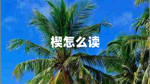 楔怎么讀 楔怎么讀